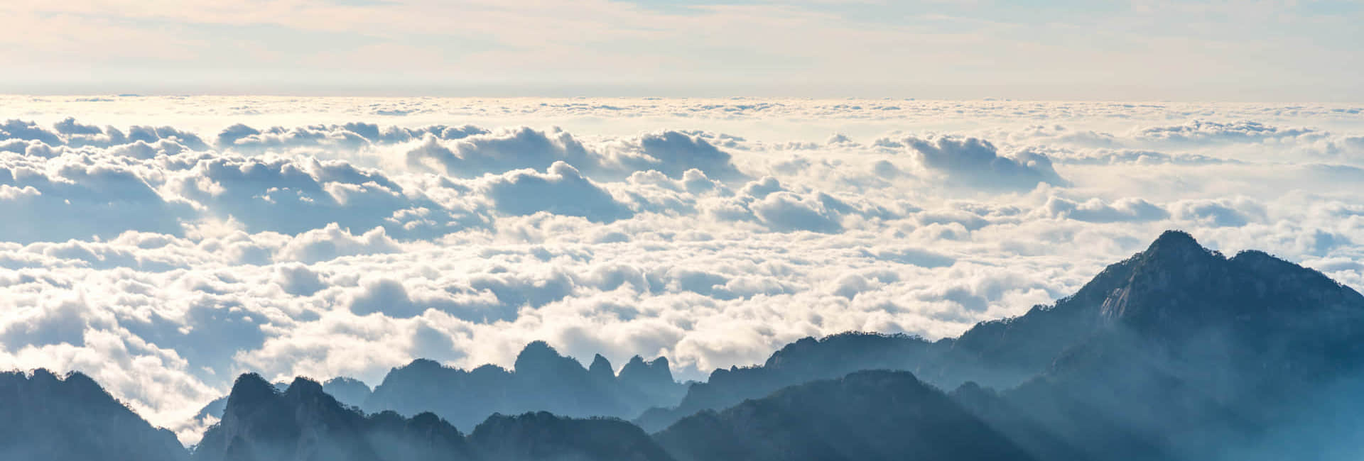 OD在线体育网简介